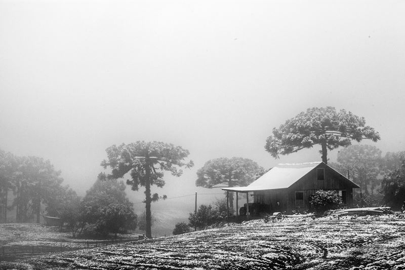 Neve em Caxias do Sul - Rio Grande do Sul - Regio Sul - Brasil