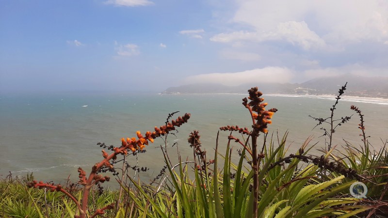 Praia do Rosa vista da trilha para a Praia Vermelha - Imbituba - Litoral Catarinense - Estado de Santa Catarina - Regio Sul - Brasil