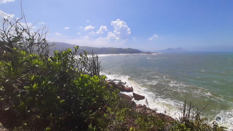 Observao de baleias - Praia do Rosa - Canto Sul - Imbituba - Litoral Sul Catarinense - Estado de Santa Catarina - Regio Sul - Brasil