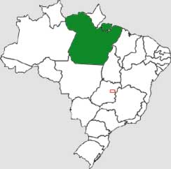RESORTS EM BELÉM - PARÁ - REGIÃO NORTE - BRASIL - DESTINOS DE VIAGEM