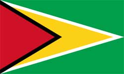 Bandeira da Guiana