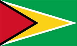 Bandeira da Guiana