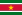 Bandeira Suriname 