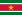 Bandeira Suriname