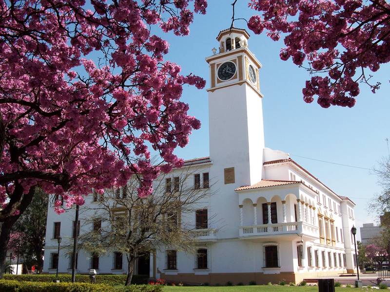 A rota de vinho mais longa do mundo termina em Santiago del Estero - Foto: Gergas.