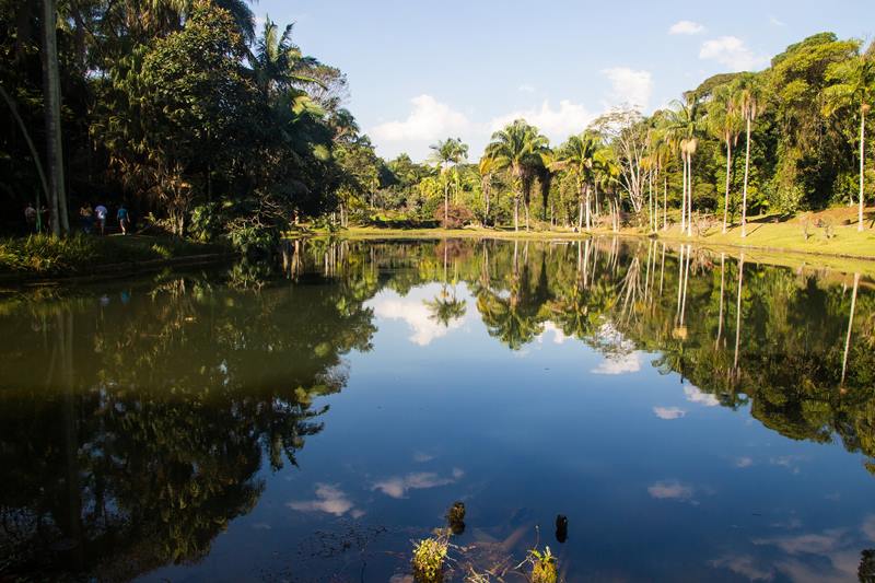 Viajar no feriado de Corpus Christi para o Amazonas - Estado do Amazonas - Corpus Christi 2024 no Amazonas