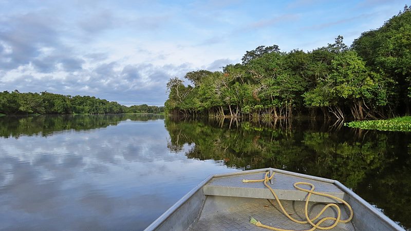 Manaus - Amazonas - Regio Norte - Brasil