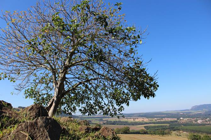 Analndia - Estado de So Paulo - Regio Sudeste - Brasil