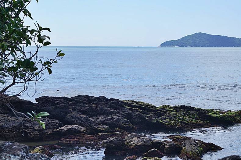 Balnerio Cambori - Litoral Catarinense - Estado de Santa Catarina - Regio Sul - Brasil