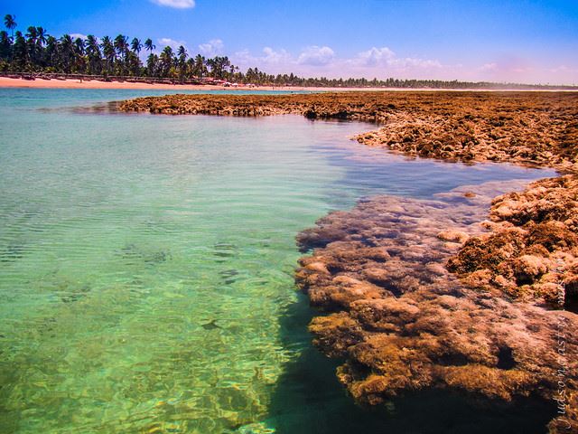 Praia de Taips de Fora - Pennsula de Mara - Litoral Sul da Bahia - Estado da Bahia - Regio Nordeste - Brasil