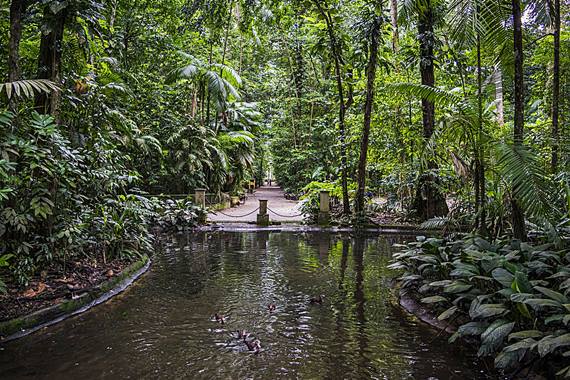 Bosque Rodrigues Alves - Belm - Par - Regio Norte - Brasil