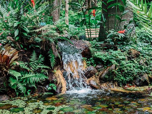 Parque Municipal Amrico Renn Giannetti - Belo Horizonte - Estado de Minas Gerais - Regio Sudeste - Brasil