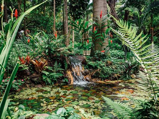 Parque Municipal Amrico Renn Giannetti - Belo Horizonte - Minas Gerais - Regio Sudeste - Brasil