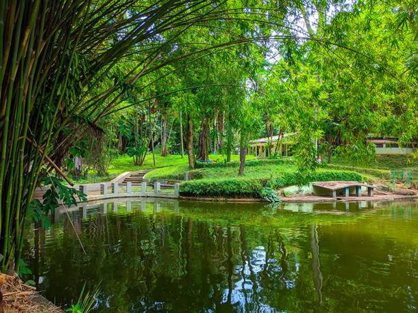 Parque Municipal Amrico Renn Giannetti - Belo Horizonte - Minas Gerais - Regio Sudeste - Brasil