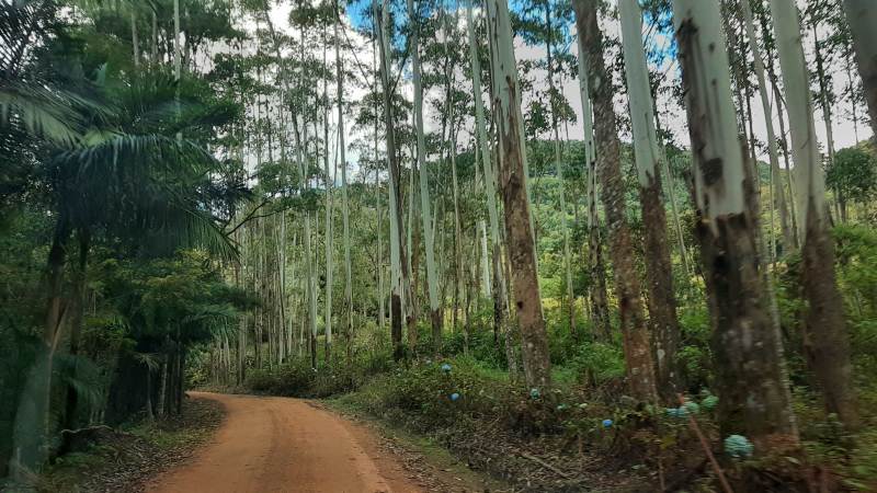 Caminhos de terra - Benedito Novo - Vale Europeu Catarinense - Estado de Santa Catarina - Regio Sul - Brasil