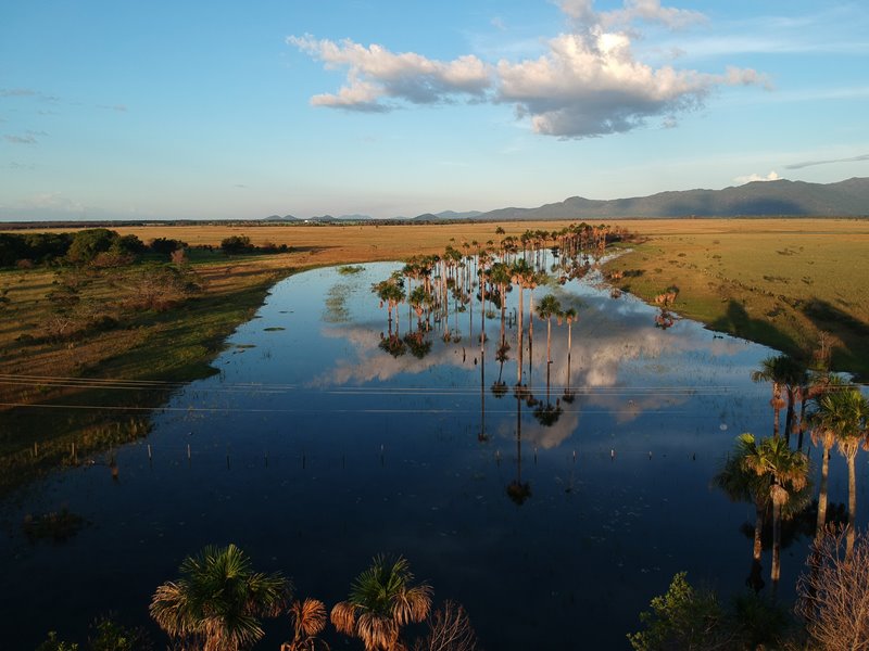 Rodovia BR-174 - Boa Vista - Mucaja - Estado de Roraima - Regio Norte - Brasil