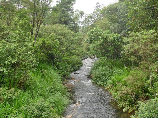 Rio Preto - Maring - Itatiaia - Bocaina de Minas - Estado do Rio de Janeiro - Estado de Minas Gerais - Regio de Visconde de Mau - Regio Sudeste - Brasil