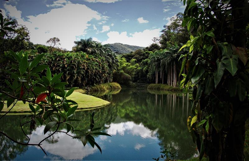 Instituto Inhotim - Brumadinho - Estado de Minas Gerais - Regio Sudeste - Brasil