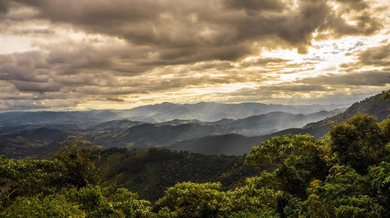 Serra da Mantiqueira - Campos do Jordo - Estado de So Paulo - Regio Sudeste - Brasil