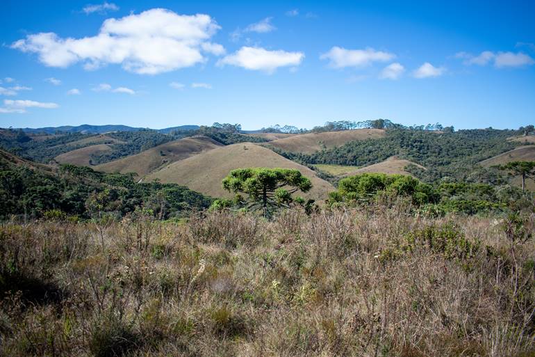 Serra da Mantiqueira - Campos do Jordo - Estado de So Paulo - Regio Sudeste - Brasil