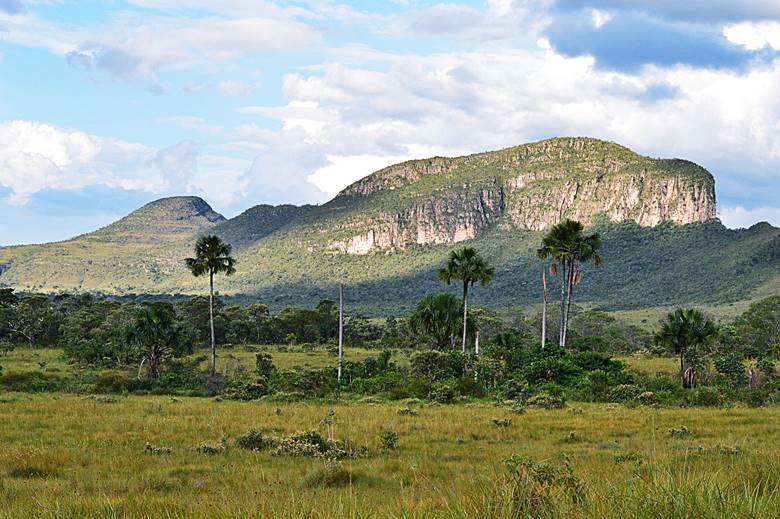 Chapada dos Veadeiros - Parque Nacional da Chapada dos Veadeiros - Alto Paraso de Gois - Regio Centro-Oeste - Brasil