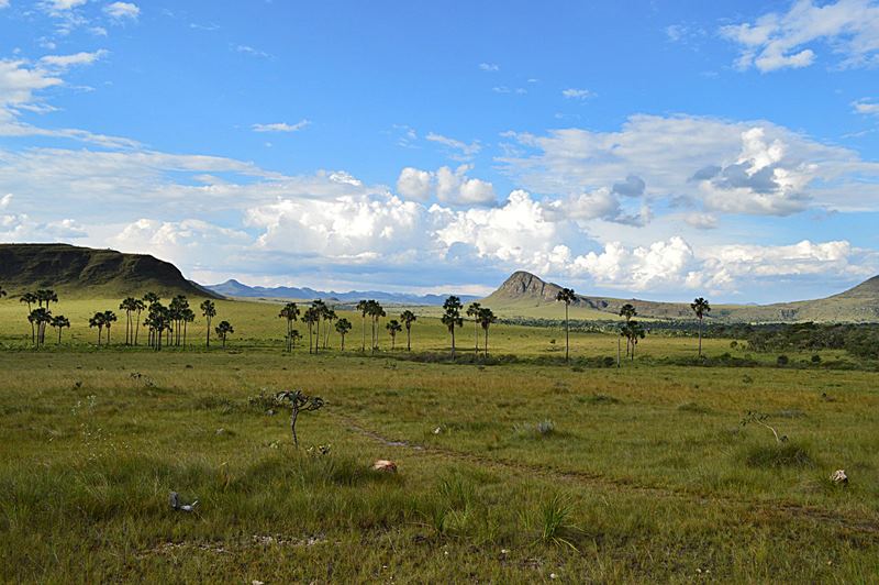 Jardim de Maytrea - Parque Nacional da Chapada dos Veadeiros - Alto Paraso de Gois - Regio Centro-Oeste - Brasil