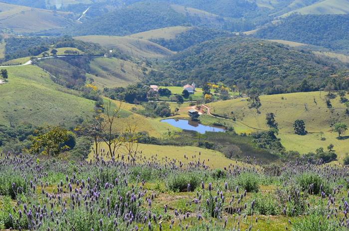 Cunha - Estado de So Paulo - Regio Sudeste - Brasil