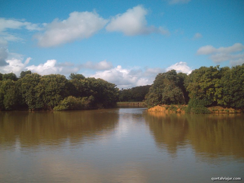 Parque Tingui - Curitiba - Estado do Paran - Regio Sul - Brasil