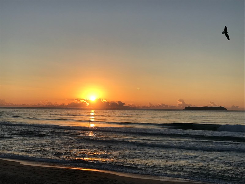 Praia Mole - Ilha de Florianpolis - Estado de Santa Catarina - Litoral Catarinense - Regio Sul - Brasil