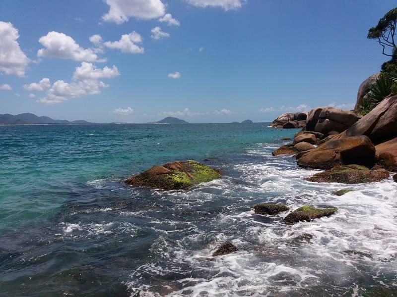 Ilha de Florianpolis - Estado de Santa Catarina - Litoral Catarinense - Regio Sul - Brasil