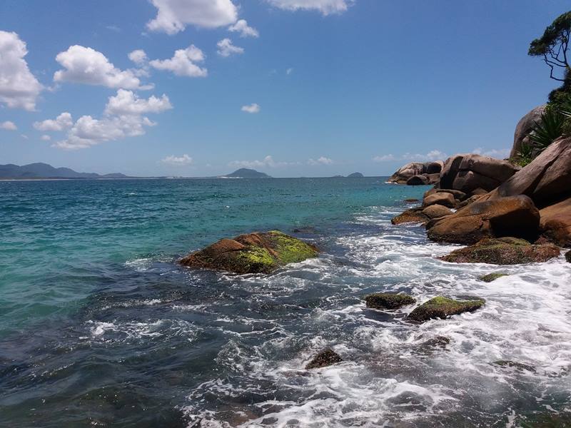 Ilha de Florianpolis - Estado de Santa Catarina - Litoral Catarinense - Regio Sul - Brasil