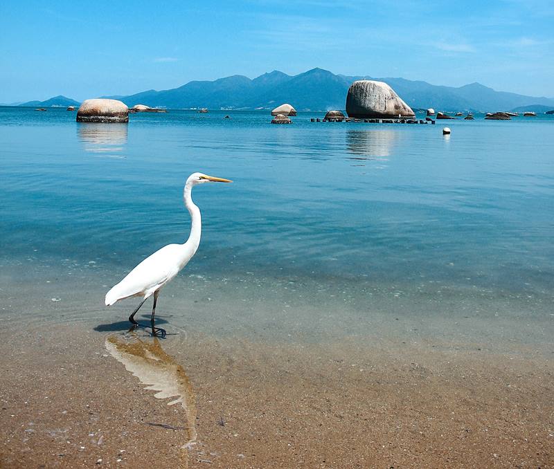 Ilha de Florianpolis - Estado de Santa Catarina - Litoral Catarinense - Regio Sul - Brasil