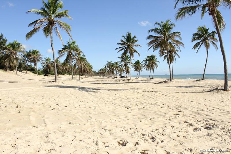 Fortaleza - Estado do Cear - Regio Nordeste - Brasil