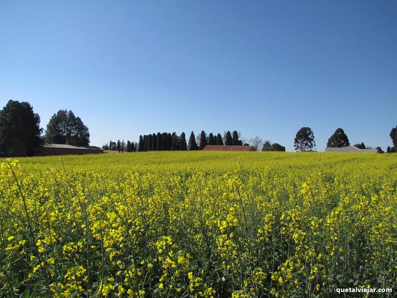 Colnia Samambaia - Entre Rios - Guarapuava - Estado do Paran - Brasil