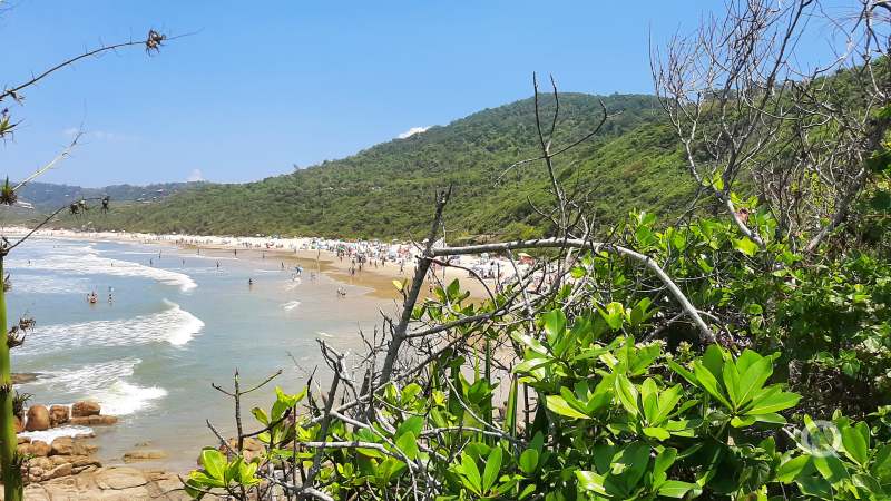 Praia do Rosa - Canto Norte - Imbituba - Litoral Catarinense - Estado de Santa Catarina - Regio Sul - Brasil