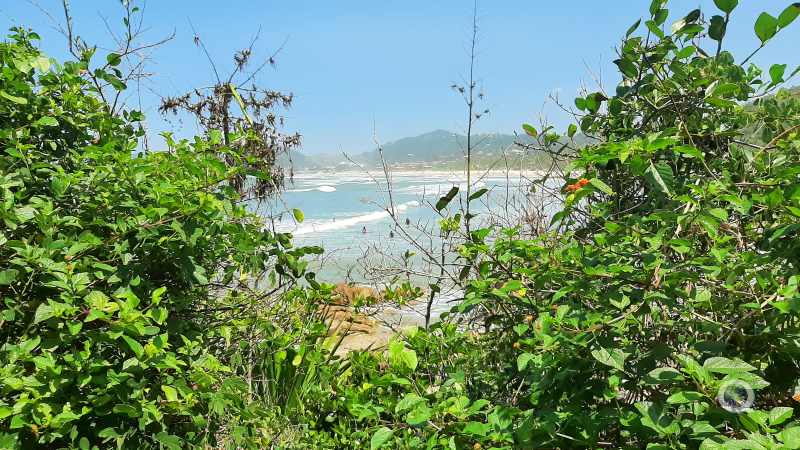 Praia do Rosa - Canto Norte - Imbituba - Litoral Catarinense - Estado de Santa Catarina - Regio Sul - Brasil