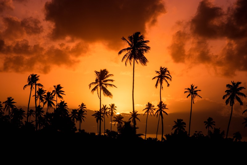 Praia de Porto de Galinhas - Ipojuca - Estado de Pernambuco - Regio Nordeste - Brasil