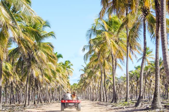 Praia de Maracape - Ipojuca - Estado de Pernambuco - Regio Nordeste - Brasil