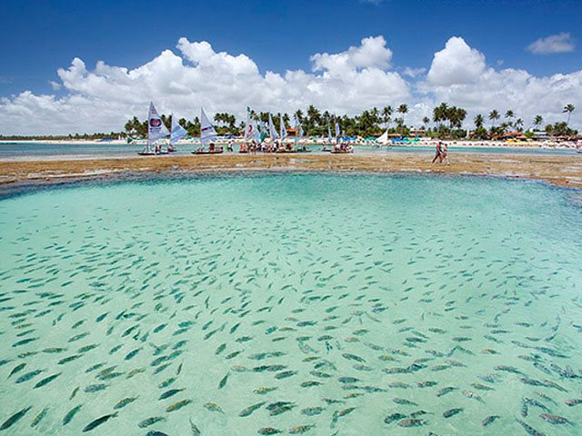 Praia de Porto de Galinhas - Ipojuca - Estado de Pernambuco - Regio Nordeste - Brasil