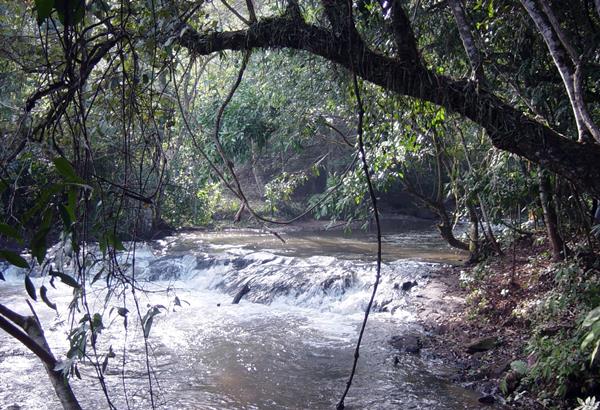 Rio Feijo - Itirapina - Estado de So Paulo - Regio Sudeste - Brasil