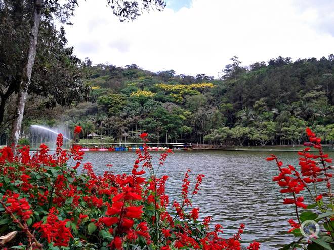 Viajar no feriado de Carnaval para a cidade de Jaragu do Sul - Carnaval 2026 em Jaragu do Sul - Parque Malwee - Estado de Santa Catarina - Regio Sul - Brasil