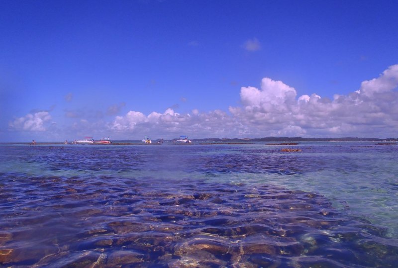 Piscinas naturais - Macei - Estado de Alagoas - Litoral Alagoano - Regio Nordeste - Brasil