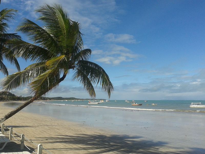 Praia - Maragogi - Alagoas - Regio Nordeste - Brasil