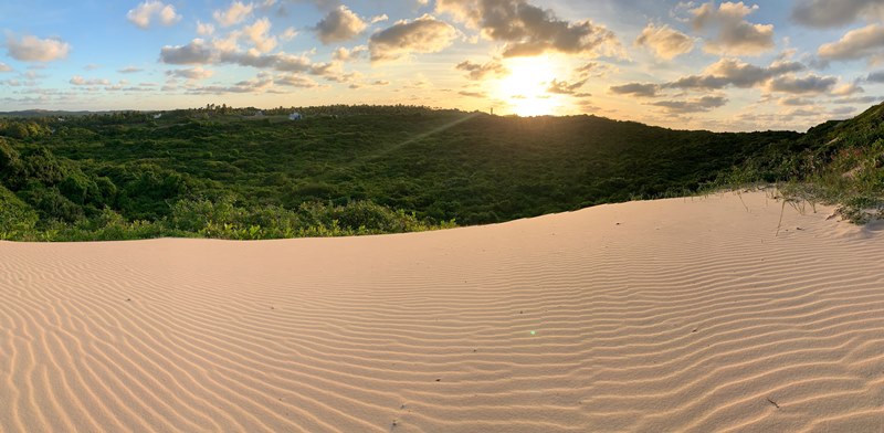 Parque Estadual Dunas de Natal - Parque das Dunas - Bosque dos Namorados - Natal - Estado do Rio Grande do Norte - Regio Nordeste - Brasil