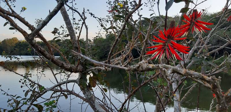 Nova Lima - Estado de Minas Gerais - Regio Sudeste - Brasil