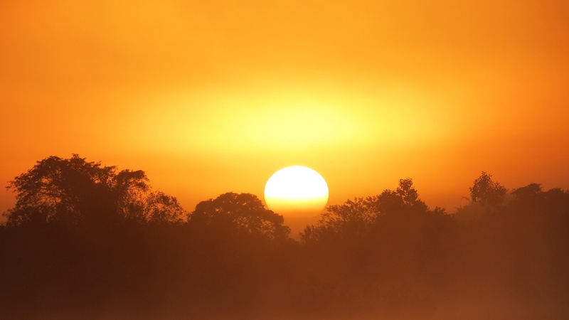 Pantanal - Estado de Mato Grosso - Regio Centro-Oeste - Brasil