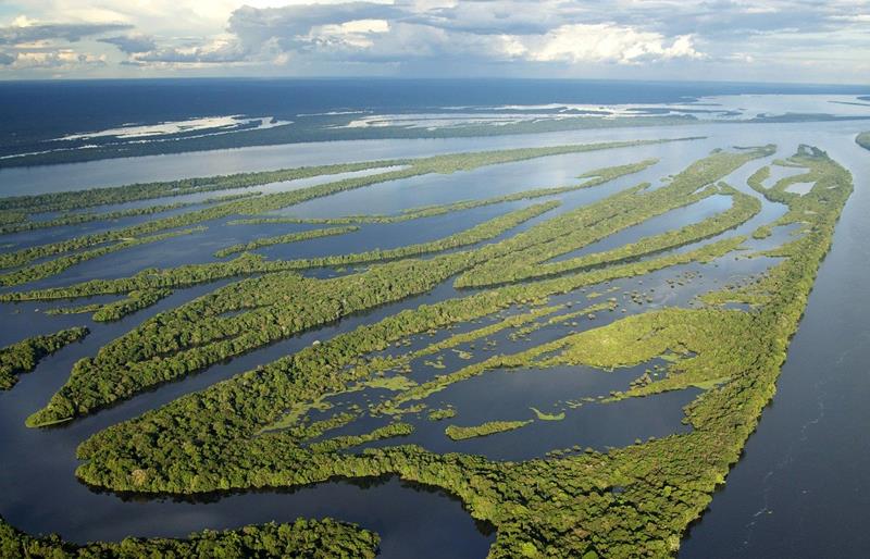 Arquiplago de Anavilhanas - Parque Nacional de Anavilhanas - Novo Airo - Manaus - Regio Norte - Brasil