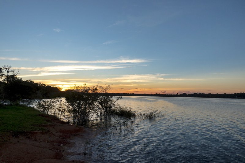 Arquiplago de Anavilhanas - Parque Nacional de Anavilhanas - Novo Airo - Manaus - Regio Norte - Brasil