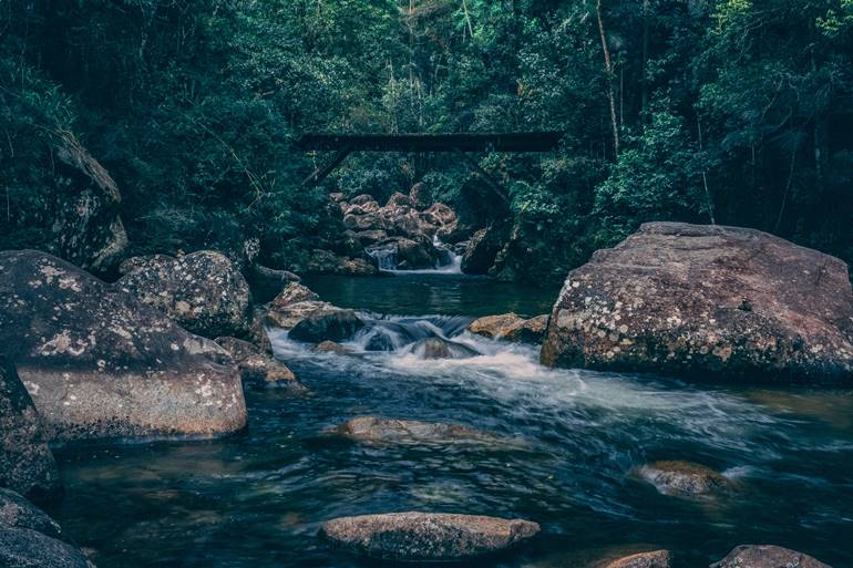 Parque Nacional do Itatiaia - Itatiaia - Estado do Rio de Janeiro - Regio Sudeste - Brasil