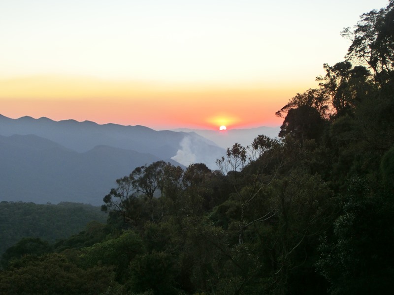 Parque Nacional do Itatiaia - Macio do Itatiaia - Serra da Mantiqueira - Estado do Rio de Janeiro - Regio Sudeste - Brasil